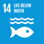 Goal 14 Life below water Life below water is the fourteenth Sustainable Development Goal of the United Nations.
