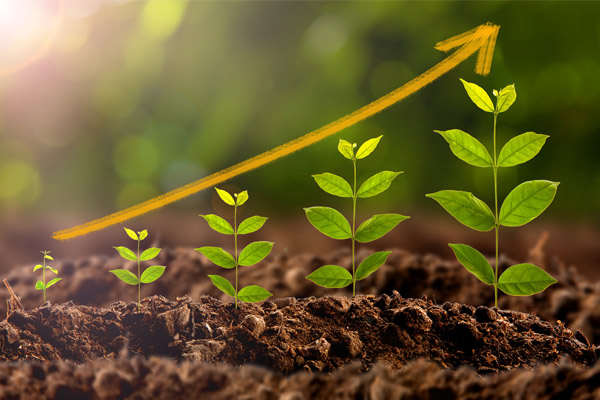 Five plants—arranged from left to right in ascending order of size—grow out of the ground; above them is an upward-pointing arrow.