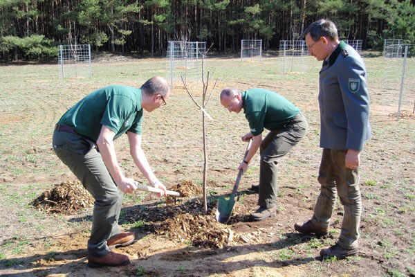 Since 2010, Piepenbrock has been planting trees in the company-owned forest together with its customers.