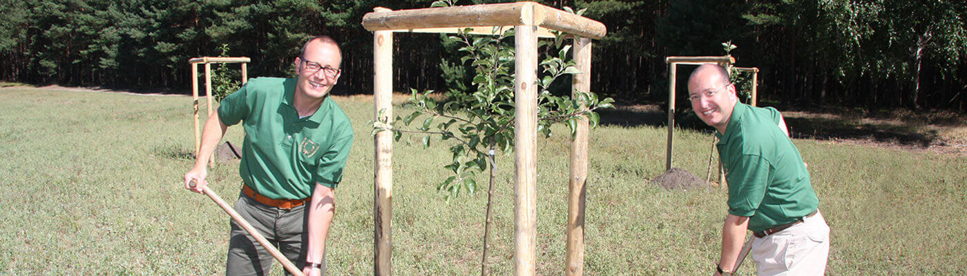 Growth campaign Piepenbrock regularly plants trees in the company forest.