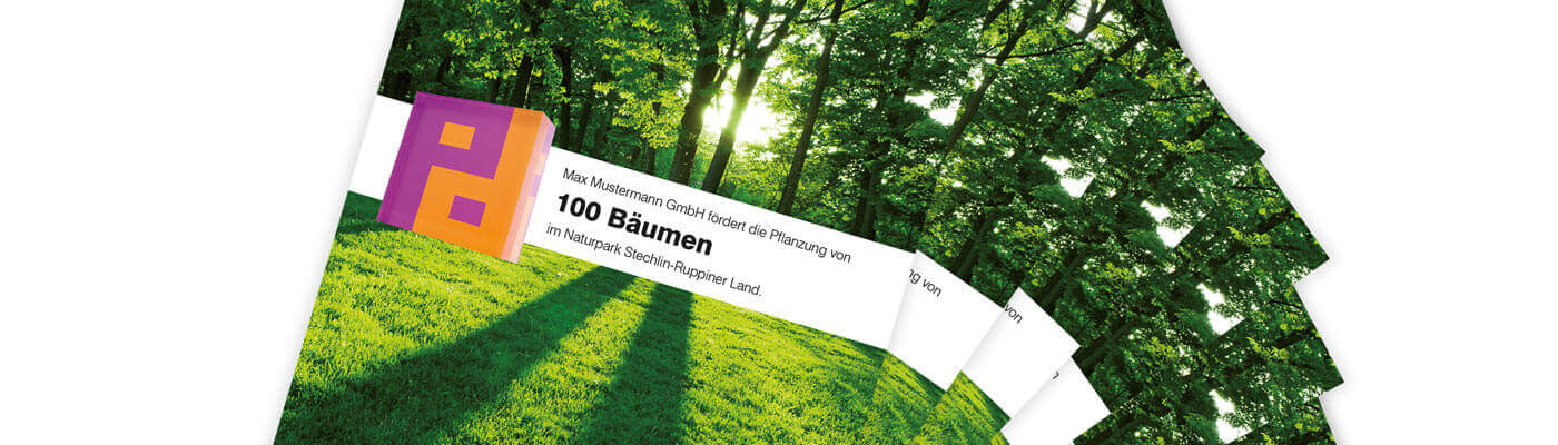 Tree certificates of the Growth campaign Piepenbrock gives customers a certificate for trees planted jointly in the company forest within the framework of the "Growth" campaign.