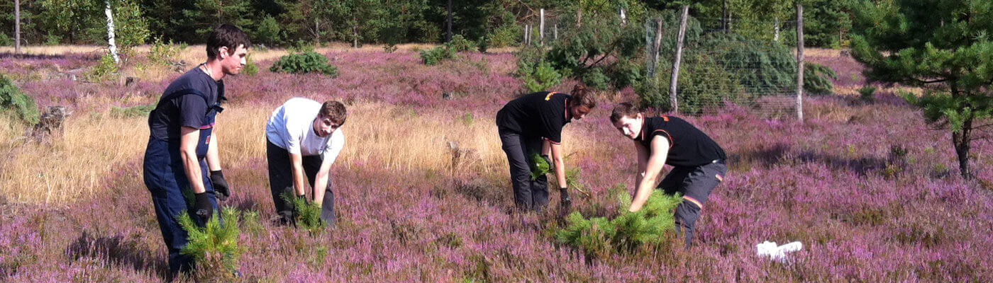 Trainee events Piepenbrock trainees clear shrubs from heathland in the company forest.